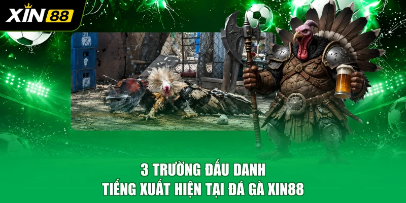 3 trường đấu danh tiếng xuất hiện tại đá gà XIN88