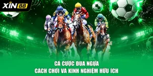 Cá Cược Đua Ngựa - Cách Chơi Và Kinh Nghiệm Hữu Ích