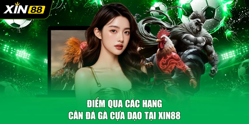 Điểm qua các hạng cân đá gà cựa dao tại XIN88