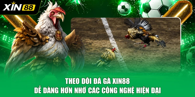 Theo dõi đá gà XIN88 dễ dàng hơn nhờ các công nghệ hiện đại