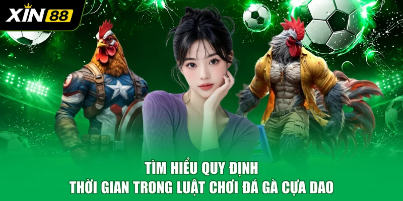 Tìm hiểu quy định thời gian trong luật chơi đá gà cựa dao
